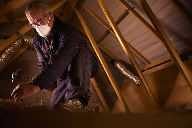  Nevada, TX Insulation Contractor Pros